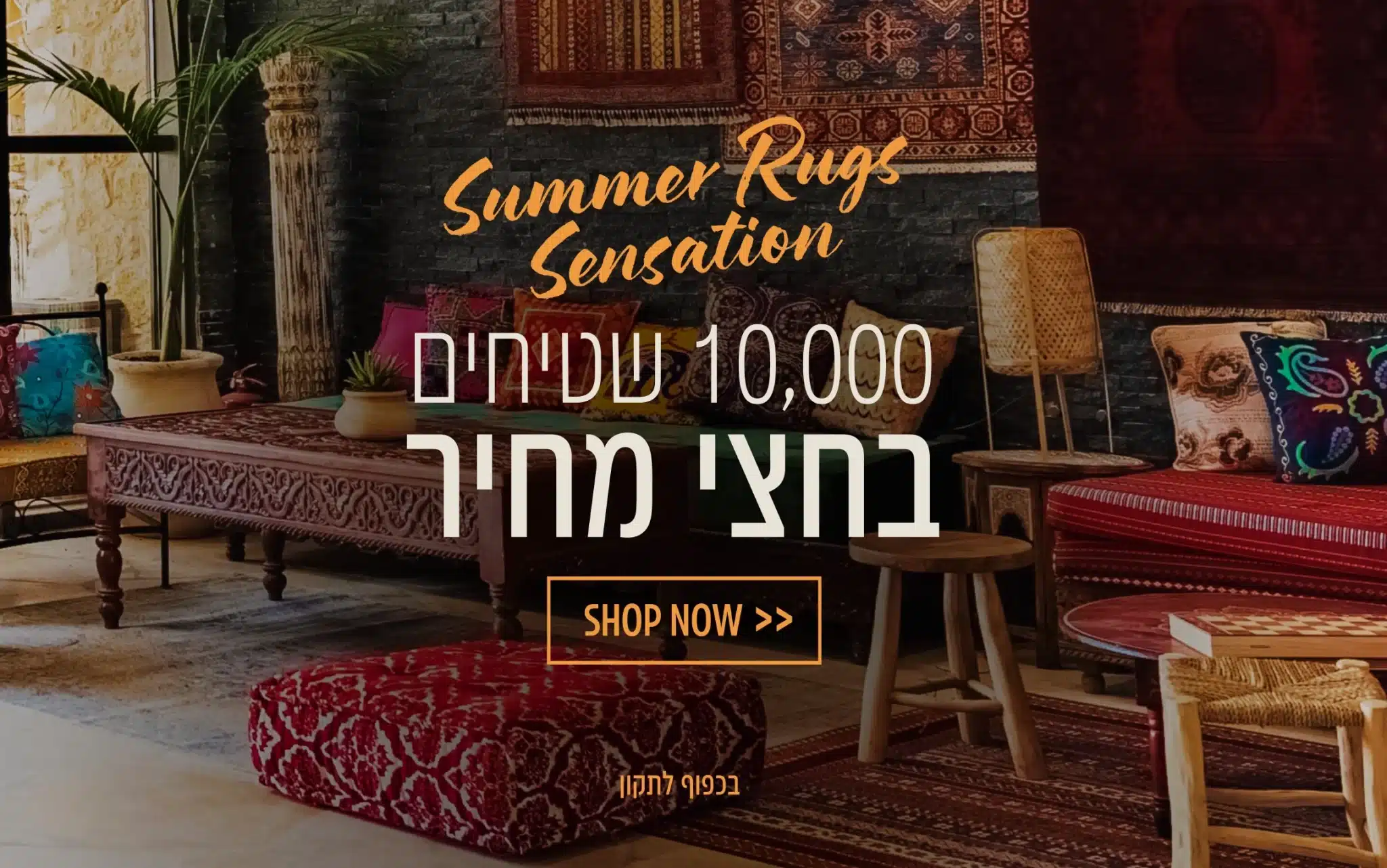 מבצע שטיחים בחצי מחיר