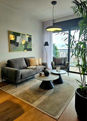 שטיח דיון לקס 909 אפור ירוק - דירות לדוגמה דיור מוגן פאלאס ראשון לציון - אדריכל הבית אור זאבי 1